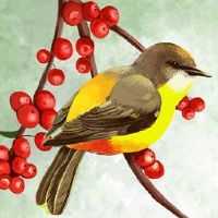 2022年5月31日适合提车吗 农历五月初一是不是买车日子