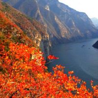 八个字符的自然测量，那种人倾向于友谊