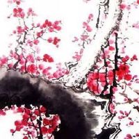 老虎号88888人民币价格表 纯数字大吉车牌号码