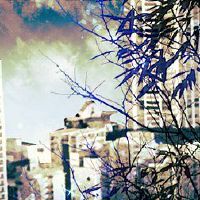 茶商店名称是着名的，独特的茶店名称老虎年