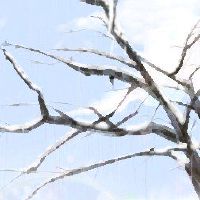 2023年的三个九天的时间表何时开始将冬至恐怖结束