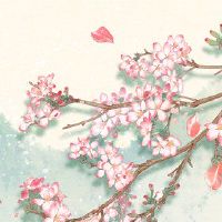 2022年夏天的花朵是什么，“10,000字，菖蒲”