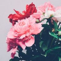 2022年农历四月二十七结婚可以吗 今日是不是嫁娶日子