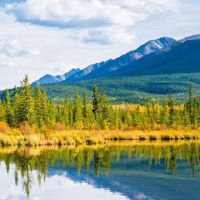 钏金几楼楼楼楼风楼楼楼