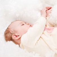 属虎的宝宝小名取什么好听 2022孩子乖巧乳名锦集