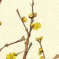 新车上牌选到豹子号 最吉利的车牌尾数数字