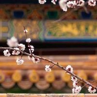 1988年属龙男性格好不好 自命不凡掌控欲强