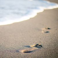 在2022年，农历新年是旅行的美好日子？