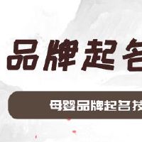 母婴品牌起名技巧