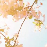 1988年属龙女一生的命运 加强理解善待伴侣