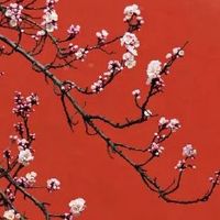 1988年属龙女的命运婚姻 改变自己减少猜忌