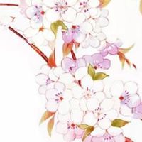 1988年属龙女一生有几次婚姻 如何稳定自己的婚姻