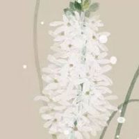 今日五行穿衣色查询:2022年5月15日幸运色指南