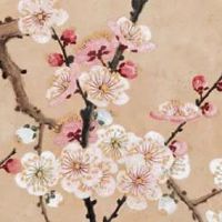 2022年5月13日五行看穿衣,今日穿衣幸运色盘点