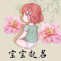 是一个名叫李的女孩的女孩的名字是什么？