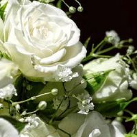 接亲给小舅子包多少红包合适 接亲给小舅子888财源滚滚