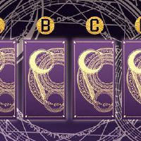 塔罗牌试验一只TAT试验小狼狗VS小牛奶，是适合你吗？