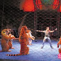 看马戏团的梦想