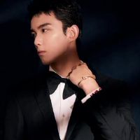 它可能是庄严的，也可以是精致的，有一个星座，智慧注定要成功。