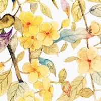 桑柘木命幸运数字 最佳手机号推荐