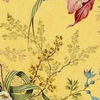 平地木命吉祥数字为几 最好的手机号码幸运数盘点