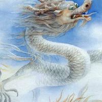 龙男是最好的出生