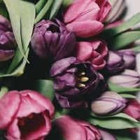 2022年农历五月初四端午节是结婚良辰吉日吗 宜办婚礼么