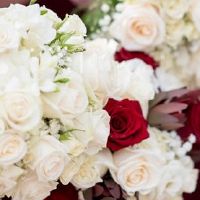 2022年农历五月初一是结婚好日子吗 这天是不是吉日