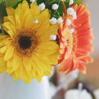 好日子查询:2022年5月20日订婚吉利吗