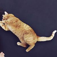 是20022年4月的第八天的母亲节吗？这是美好的一天吗？