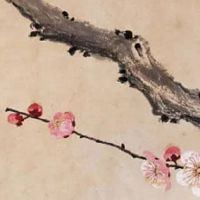 车牌444和333哪个值钱 盘点顺风顺水的聚财车牌号码