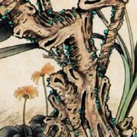 1986属虎命晚年很苦 财运稳定感情丰富婚姻甜蜜