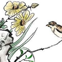 本命年适合男生戴的转运珠 男生戴黄金转运珠家庭美满