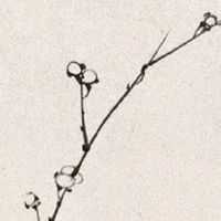 火命手机号吉利数字 大吉的号码尾数推荐