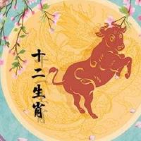 妇女的男性老虎婚姻与贫穷的一代女性老虎男性牛婚比赛比赛