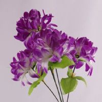 2022年农历五月十二结婚可以吗 今日是不是嫁娶日子