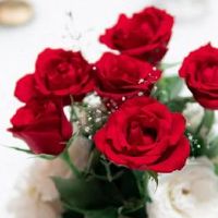 2022年农历五月初八是结婚好日子吗 这天是不是吉日