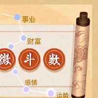 紫色条号看起来在富裕的宫殿钱看起来yokota紫色的maxi