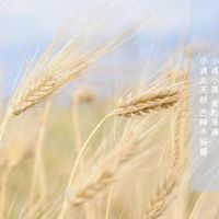 这是2022年结婚的好日子吗？