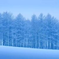 2019年猪年霜孕女孩五行缺乏土壤