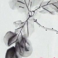 车牌子三连号多少钱 财运好的车牌号码数组