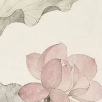 999三连车牌号含义 五行最旺运的车牌号码数字