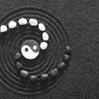 八字中食伤克官杀是什么意思