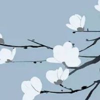 百货日杂什么最好卖 店铺起名象征美好大气