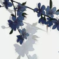 最吉利旺财的超市名字 最新聚财店铺起名