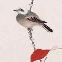 三八妇女节的由来简介 三八妇女节的寓意