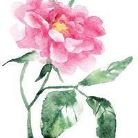 本命年黄金饰品介绍 虎年本命年金饰谁送最好