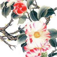 本命年金饰买什么 金饰戴左手还是右手