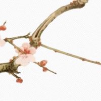 夫妻宫看配偶年龄差 八字十神看你另一半脾气