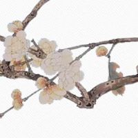 如何看懂自己的命盘十二宫 不同行星落入宫位意义